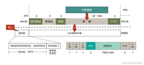 數據鏈路層 計算機網絡技術開發的基石與前沿